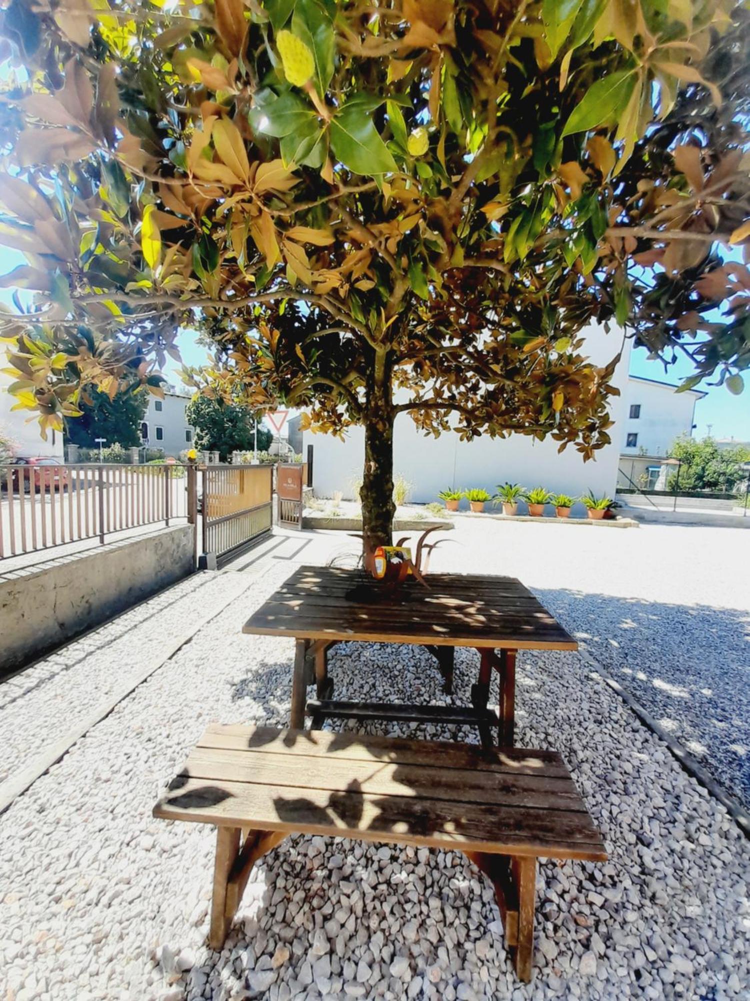 Hotel Foiarola à Begliano Extérieur photo